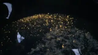Gold Prospecting In Gwinnett County Georgia - Lost River Gold - Nice Cleanup Good Gold