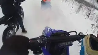 Mett&auml;r&auml;ll&auml;ily&auml; + w&auml;rr&auml; penkkaan