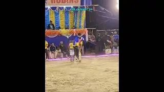 Prince Maxwell 🤩💥 #shorts #ytshorts #cricket #viralvideo #trending #princeshahinsa