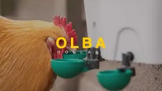 Instruction video AviAqua with Swing Cups