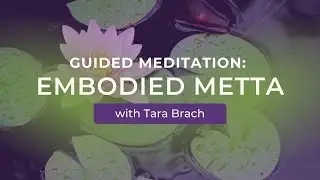 Guided Meditation: Embodied Metta with Tara Brach