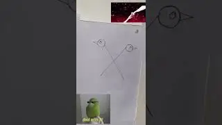 #art #bird 🐦🐥