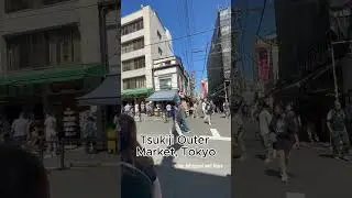 Japan Hidden Gems: Mario World Osaka, Tsukiji Market Tokyo & Upside Down Train Ride
