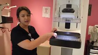 Your Mammogram Appointment