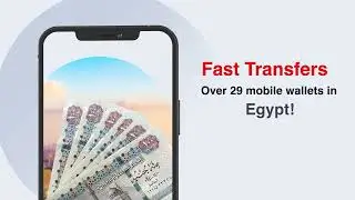Send Money to Egypt in 2&ndash;3 Hours | Meeza Wallet Transfer | Wall Street Exchange UAE