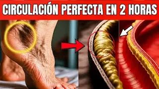 👉 La bebida #1 para ancianos que favorece una circulación más saludable|Dr. Fernando Manochi Torres