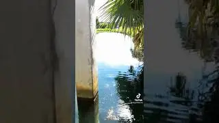 Wow Nice Amazing fishing video|| How to catch a very large fish of extraordinary yellow color
