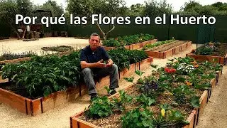 Las Flores en el Huerto y Sus Beneficios