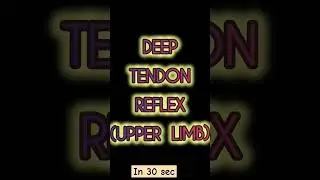 Deep tendon reflex💪#shorts#anatomy#reflexes#bpt#mbbs#nursing#medical#physiotherapy#mpt #neet#physio