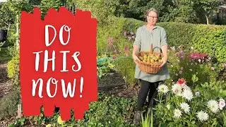WANT AN ABUNDANT VEGETABLE GARDEN? GROW FLOWERS!