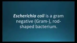 How to pronounce Escherichia coli (E. coli) (Pharmcabulary for Memorizing Pharmacology Flashcard)