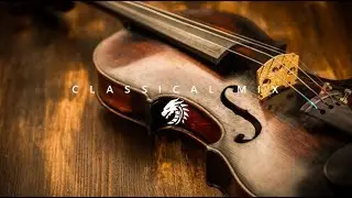 Violin of Emotional Attachment  | DRT Remix