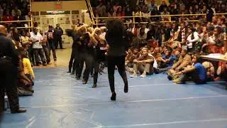 alpha phi chapter of alpha kappa alpha run 3 | ncat | stroll competition | 01/27/2011