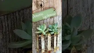 100+Thrifty Garden Decor Ideas in 100+ seconds #shorts #shortsfeed #garden #thrifty
