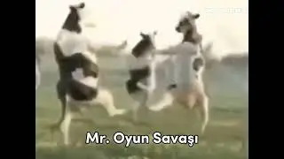 Meme theme