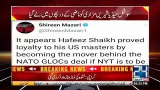 Shireen Mazari Shocking Statement On Finance Advisor Hafeez Sheikh