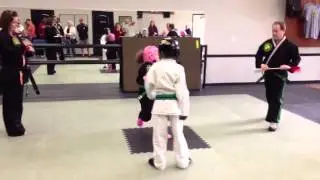 Epic Taekwondo Sparring Match