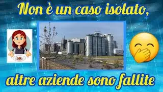 Fallisce Ynsect, l'azienda che coltivava insetti da mangiare!