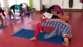 North East Social - Yoga