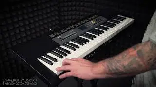 CASIO CTK-2500 играть на синтезаторе просто!