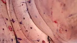 Radar Men From The Moon - Piss Christ (Official Video)