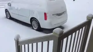 Trini attempt to clean snow off car in April 2016