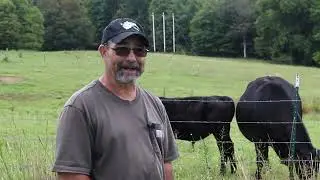 WV Grown: Homesteading: Spillman Farms