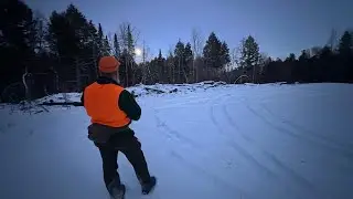 2025 Maine Deer Hunt | Double-Teaming