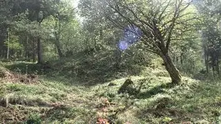Gravhaug nr 1 - Familiegrava p&aring; L&oslash;ykja