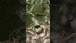 Groundtech A2 ile Şok Keşif! Bu K&uuml;p&uuml;n İ&ccedil;inden Neler &Ccedil;ıktı! 💰