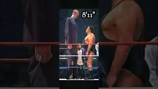 Andre The Giant meets Robert Wadlow Raw, December 30 2017
