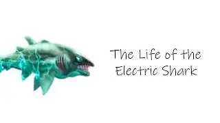 The life of the Electric shark