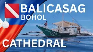 Balicasag Island Bohol Sea Philippines: Dive Cathedral