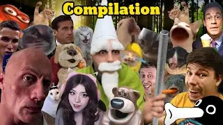 All Crawly The Green Wizard Gnome Meme Compilation