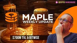 Maple Finance - TVL & BITWISE Deal!!!