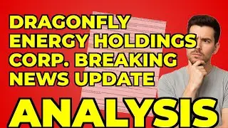 Dragonfly Energy's Debt Play: My Take on the Restructuring
