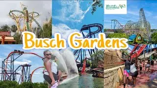 Busch Gardens Theme Park | Tampa, FL | Roller Coasters | Rides and Attractions | Seeing Animals 