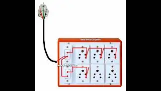 Room Switch Socket Wiring Diagram | Complete Board Connection #electrical #home #how #why #howto#diy