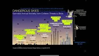 09-Dangerous Skies
