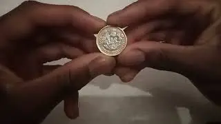 One Pound Coin (UK) Review 