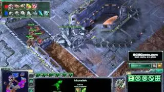 oGsZenio (Z) VS mouzStrelok (T) G3 [Kaspersky] Starcraft 2