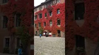 Nuremberg Castle before Snow , Germany