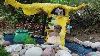 ۲۰ نوامبر ۲۰۲۵
