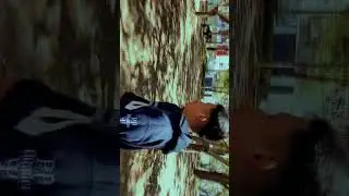 SONY A6000 VIDEO Y FOTOS
