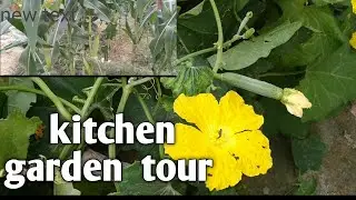 Daraz online shoping review /kitchen garden #Middle class family