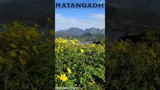 RATANGADH FORT MAHARASHTRA #youtubeshorts #ratangadfort #travel #shortfeed #nature #ytnchaudhari