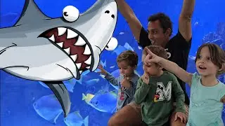 AquaRio + Roda Gigante + Museu do Amanhã: Rafael e Benjamin passeiam pelo Rio