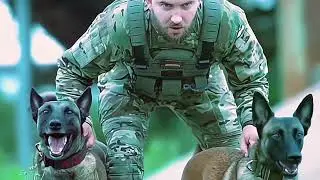 Dog Training Off Leash Control｜｜D12 Dec 2025