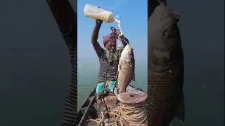 USA Sea Shark Fishing Method with 5kg Fish Bait 01 #fishing #amazing #fishinglife