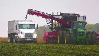Sugar Short: Sugar is a Unique Commodity